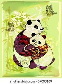 pandas family at the bamboo forest