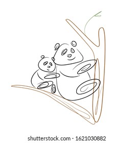 The Pandas family, mom panda and her teddy bear are resting on a bamboo tree, the bear is sleeping and resting. vector illustration on a white background