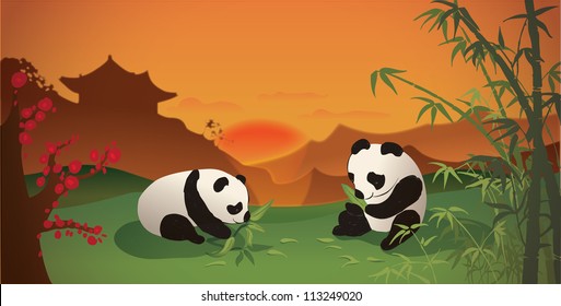 Pandas having dinner at sunset