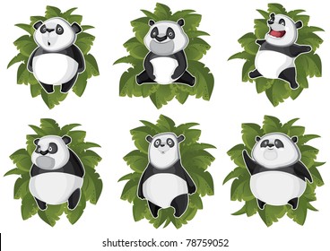 Pandas isolated in the leaves