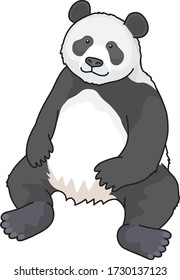 
Pandas are the most popular animals in the zoo.