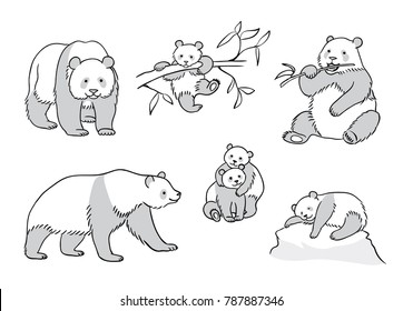 Pandas in outlines - adults and babies. Vector illustration. EPS8