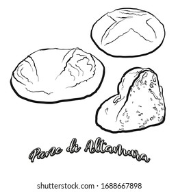 Pane di Altamura food sketch separated on white. Vector drawing of Leavened, usually known in Italy. Food illustration series.