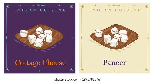 Paneer fresh Indian cottage cheese on wood board avector vintage illustration