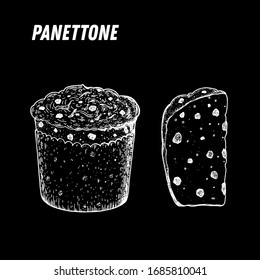 Panettone sketch. Italian dessert vector illustration. Italian sweet hand drawn sketch. Vintage design template.