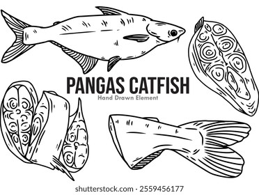 Pangas catfish vector black ink hand drawn sketch on white background, pieces of fish flesh, whole fish, and pieces of catfish