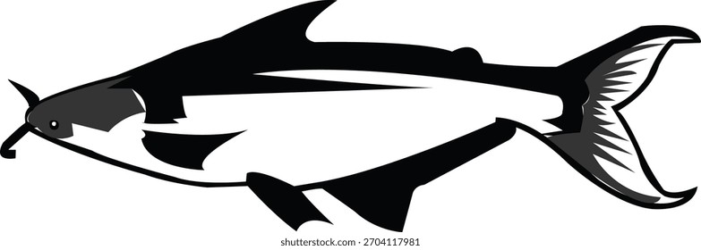Pangasius Fish Vector Art Design