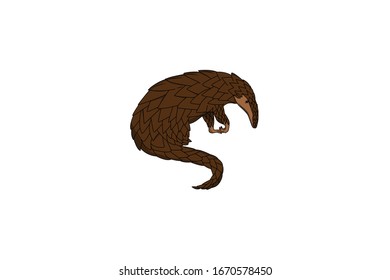 Pangolin Animal Cartoon Vector Illustration