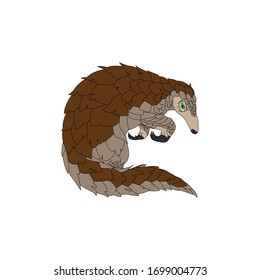 Pangolin Animal Cartoon Vector Illustration