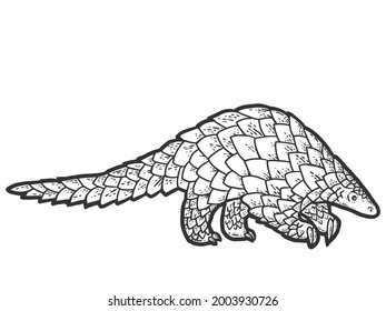 Pangolin animal. Sketch scratch board imitation coloring.