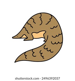 pangolin hand drawn color vector illustration