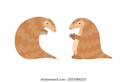 Pangolin or Scaly Anteater with Clawed Paw Sitting Vector Set