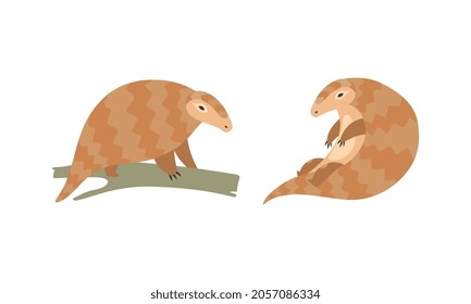 Pangolin oder Scaly-Anteater mit geglatter Pfow auf Baumzweig-Vektorset