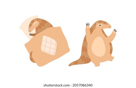 Pangolin or Scaly Anteater with Clawed Paw Dancing and Sleeping Covering with Blanket Vector Set