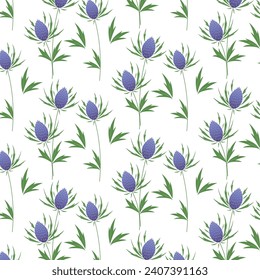 Panicaut  flowers seamless vector pattern for web, textile,cards. 