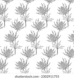 Panicaut seamless vector pattern for web, textile,cards.