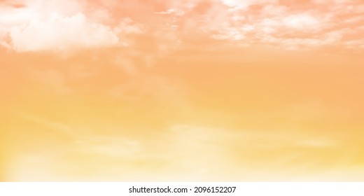 Panorama Clear yellow sky and white cloud detail  with copy space. Sky Landscape Background.Summer heaven with colorful clearing sky. Vector illustration. Beautiful nature.sky clouds background.