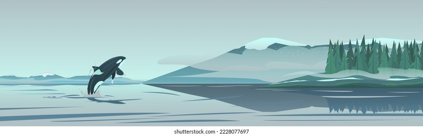 Panorama of the coast of North America. Range, coniferous forest in fog, sea bay. In the waters of the bay, a jumping killer whale. Wildlife scene, artistic drawing, vector illustration.