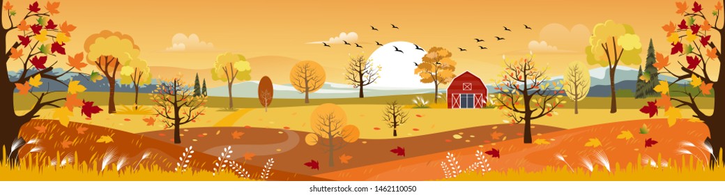 Panorama of Countryside landscape in autumn, Vector illustration of horizontal banner of Autumn landscape, barn, mountains and maple leaves falling from the trees in yellow foliage. Fall seasons 