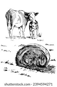 Panorama of countryside landscape with cow and calf. Pen sketch converted to vector drawing