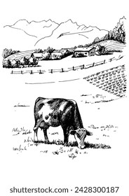 Panorama of countryside landscape with cow. Pen sketch converted to vector drawing

