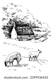 Panorama of countryside landscape with sheep. Pen sketch converted to vector drawing
