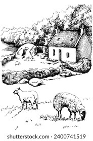 Panorama of countryside landscape with sheep. Pen sketch converted to vector drawing
