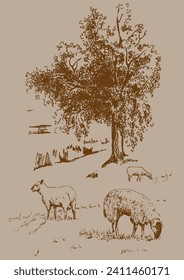 Panorama of countryside landscape with sheep. Pen sketch converted to vector drawing
