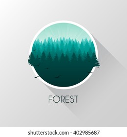 Panorama of evening forest. Flat style. Vector illustration.