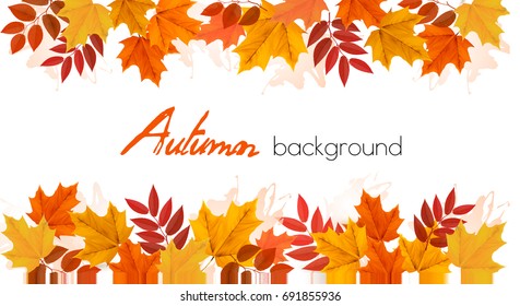 Panorama Fall Autumn Colorful Leaves Background. Vector.