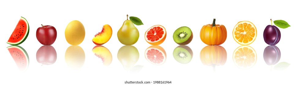 Panorama of fresh fruits and vegetables in row with reflection. Watermelon, honey melon, peach, pear, grapefruit, kiwi, pumpkin, orange, plum. Vector.