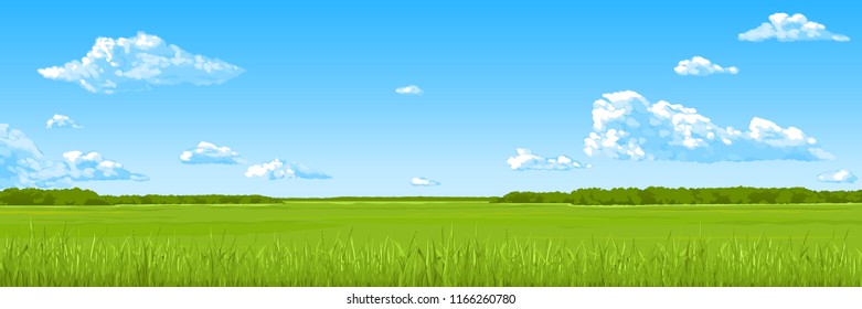 Panorama - green meadow with grass and forest on the horizon. Light blue sky. Summer illustration of a spacious field with a low horizon. Colorful stock vector illustration. 