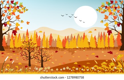 Panorama landscape of Countryside landscape in autumn, Vector illustration panoramic of horizontal banner of autumn landscape mountains and maple trees fallen with yellow foliage.