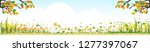 Panorama landscape of Countryside landscape in spring or summer with copy space,Vector spring landscape of maple trees with leaves falling, daffodils   flowers, Summer landscape with summer flowers.