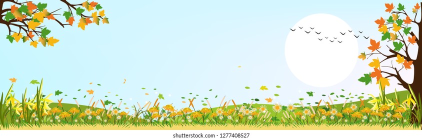 Panorama landscape of Countryside landscape in spring or summer with copy space,Vector spring landscape of maple trees with leaves falling, daffodils   flowers, Summer landscape with summer flowers.
