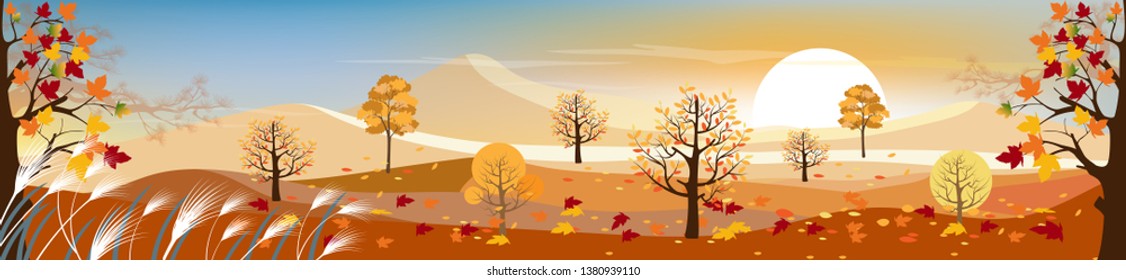 Panorama landscape of Countryside with sunny day in autumn, Panoramic of mid autumn with farm field, mountains, wild grass and maple leaves falling from trees