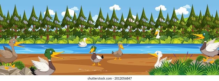 Panorama-Landschaftsbild mit vielen Enten in der Waldgrafik