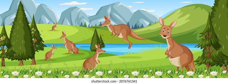 Panorama landscape scene with many kangaroos in the forest illustration