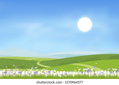 Panorama landscape  of spring green field on hills with blue sky, Vector cartoon Spring or summer landscape of countryside with green field and wild flowers