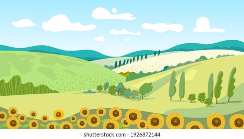   Panorama landscape of Sunflower field with blue sky background, illustration of beautiful natural landscape.Vector illustration.  
 