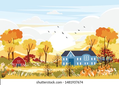 Panorama landscapes of Countryside in autumn. Panoramic of mid autumn with farm field, barn, mountains, wild grass and leaves falling from trees in yellow foliage. Wonderland landscape in fall season.