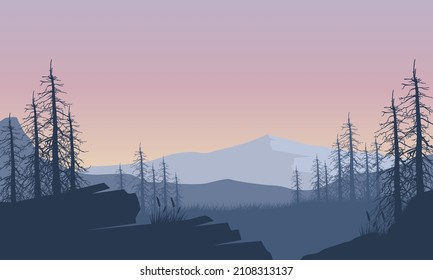 Panorama of the mountain with a magnificent silhouette of pine trees from the edge of the city at dusk