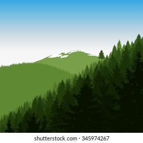  Panorama of mountains. Silhouette of green mountains with snow and coniferous trees on the background of blue sky.  Can be used as eco banner.