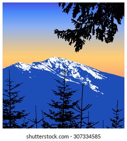  Panorama of mountains. Silhouette of mountains with snow and coniferous trees. Blue and yellow tones.