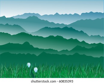 panorama of mountains.vector illustration