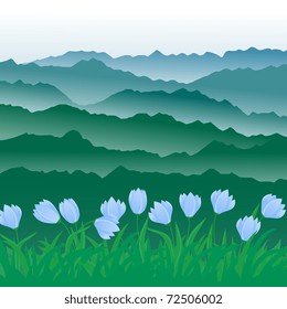 panorama of mountains.vector illustration