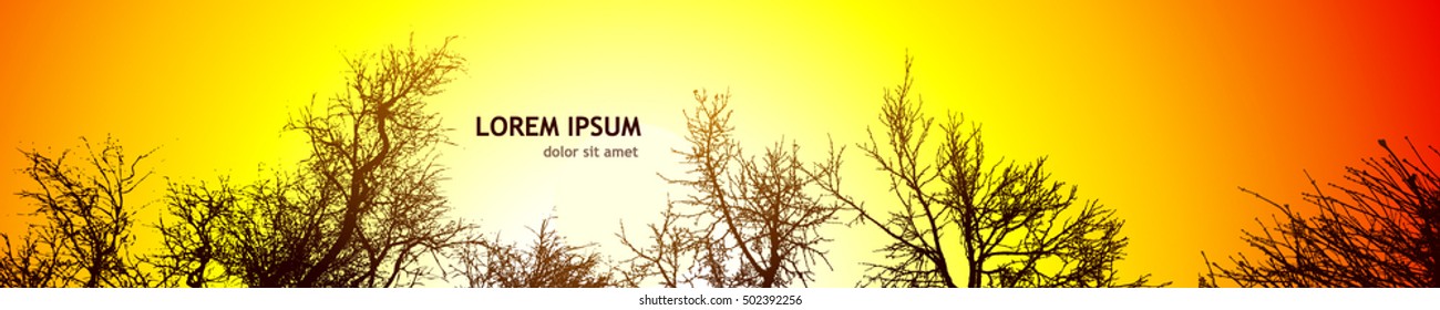 Panorama silhouettes of tree branches. Vector