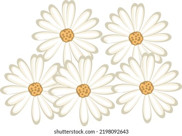 Panorama spring flowers pattern. Flowers wild violets pattern on a white background. Full Bloom trend. Flat lay style.