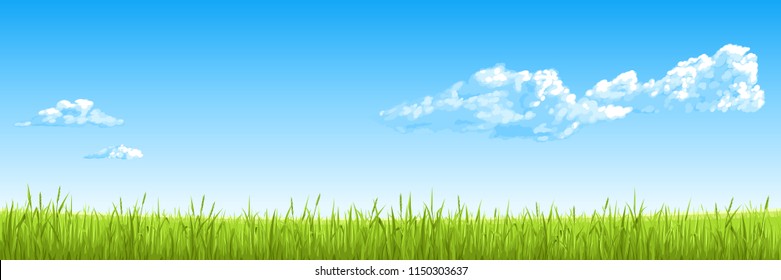 Panorama - the summer field with a green grass, the blue sky, clouds. Vector drawing.