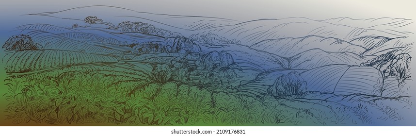 Panorama of a tea plantation in the mountains, tea bushes in the foreground and in the distance houses, a village and mountain hills covered with tea plantations. Mountain landscape